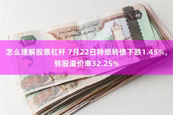 怎么理解股票杠杆 7月22日特纸转债下跌1.45%，转股溢价率32.25%