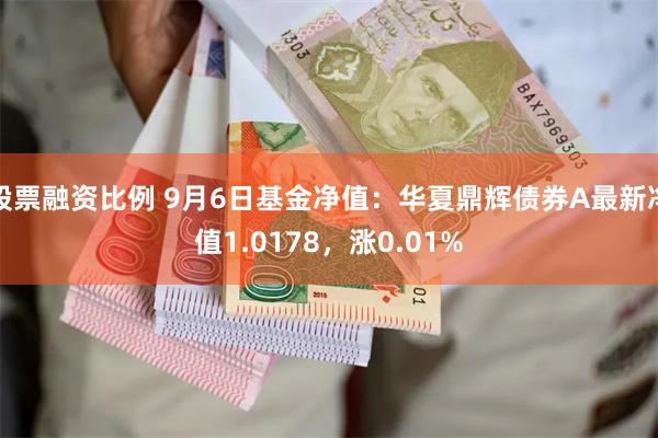 股票融资比例 9月6日基金净值：华夏鼎辉债券A最新净值1.0