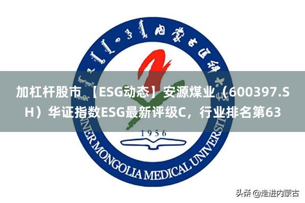 加杠杆股市 【ESG动态】安源煤业（600397.SH）华证