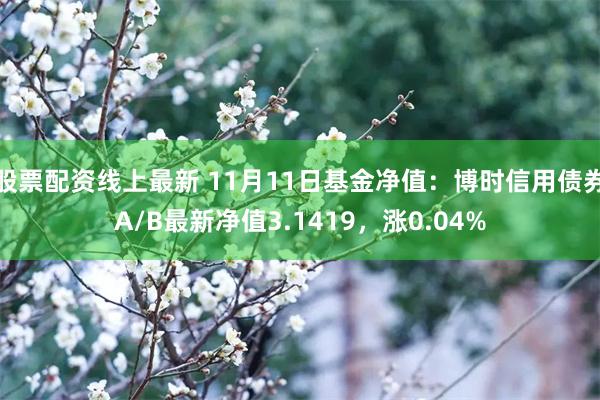 股票配资线上最新 11月11日基金净值：博时信用债券A/B最新净值3.1419，涨0.04%