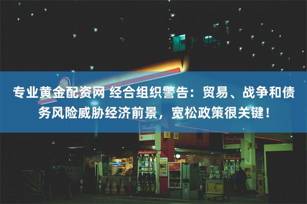 专业黄金配资网 经合组织警告：贸易、战争和债务风险威胁经济前景，宽松政策很关键！