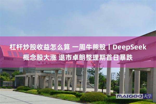 杠杆炒股收益怎么算 一周牛熊股丨DeepSeek概念股大涨 退市卓朗整理期首日暴跌