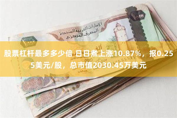 股票杠杆最多多少倍 日日煮上涨10.87%，报0.255美元